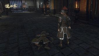 逆水寒最新爆料自定义,江湖风云再起，神秘势力暗中布局